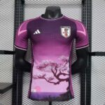 Maillot Concept Japon 2024